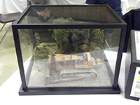 Construction Truck Scale Model Toy Show IMCATS-2011-046-s